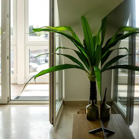Immo-vision - Comfort Living Apartments, 8 Schlafzimmer דירה *